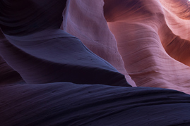 WINNING IN PRIVATE MARKETS: HOW TO BOOST EFFICIENCY TO ENHANCE MARGINS AND SCALE WITH DEMAND